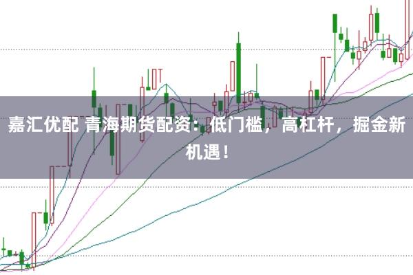 嘉汇优配 青海期货配资：低门槛，高杠杆，掘金新机遇！